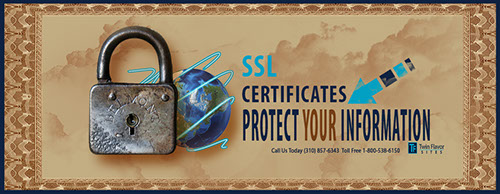 Twin Flavor SSL certificates  keep you and your customers safe by protecting your information